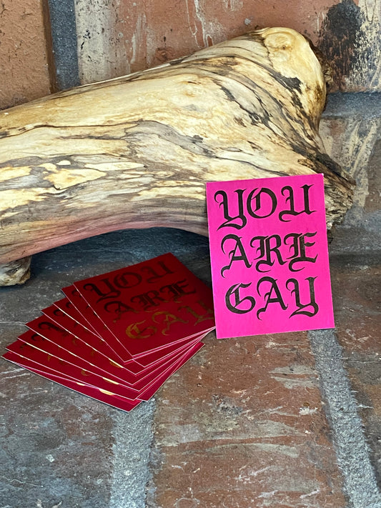You Are Gay sticker